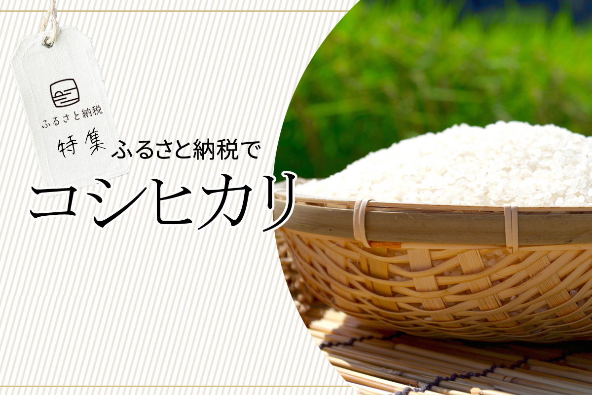 セールSALE％OFF 香川のおばあちゃんの新米こしひかり白米 米