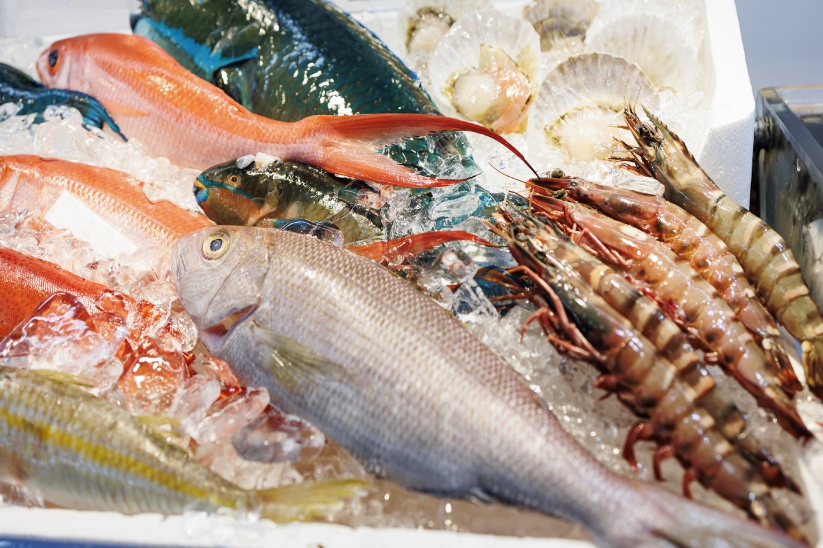 【毎日更新！ふるさと納税 返礼品ランキング】魚介類・海産物(総合)